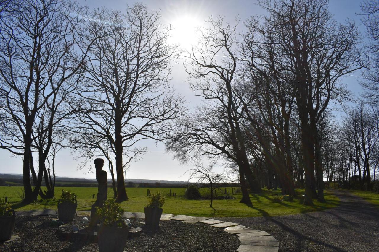 Crug Glas Country House St. Davids  Luaran gambar