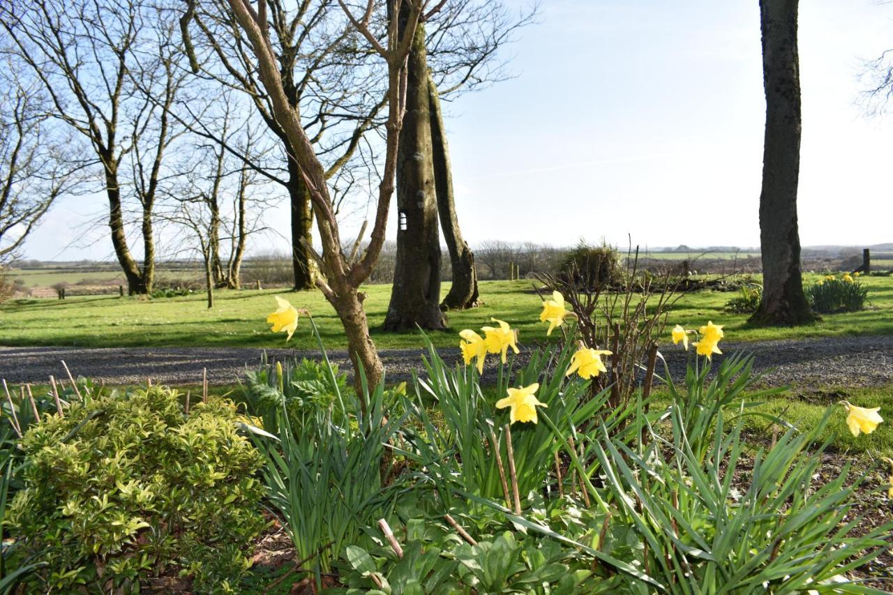 Crug Glas Country House St. Davids  Luaran gambar