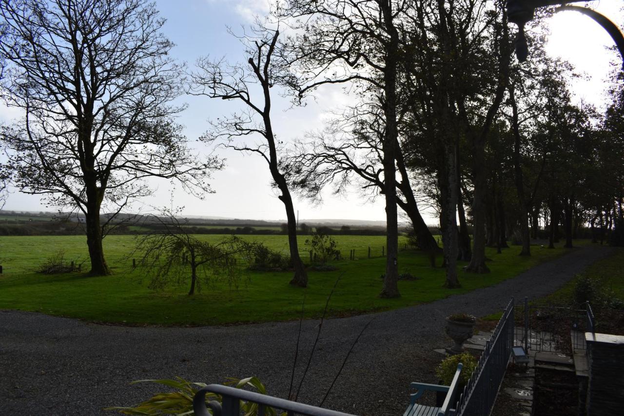 Crug Glas Country House St. Davids  Luaran gambar