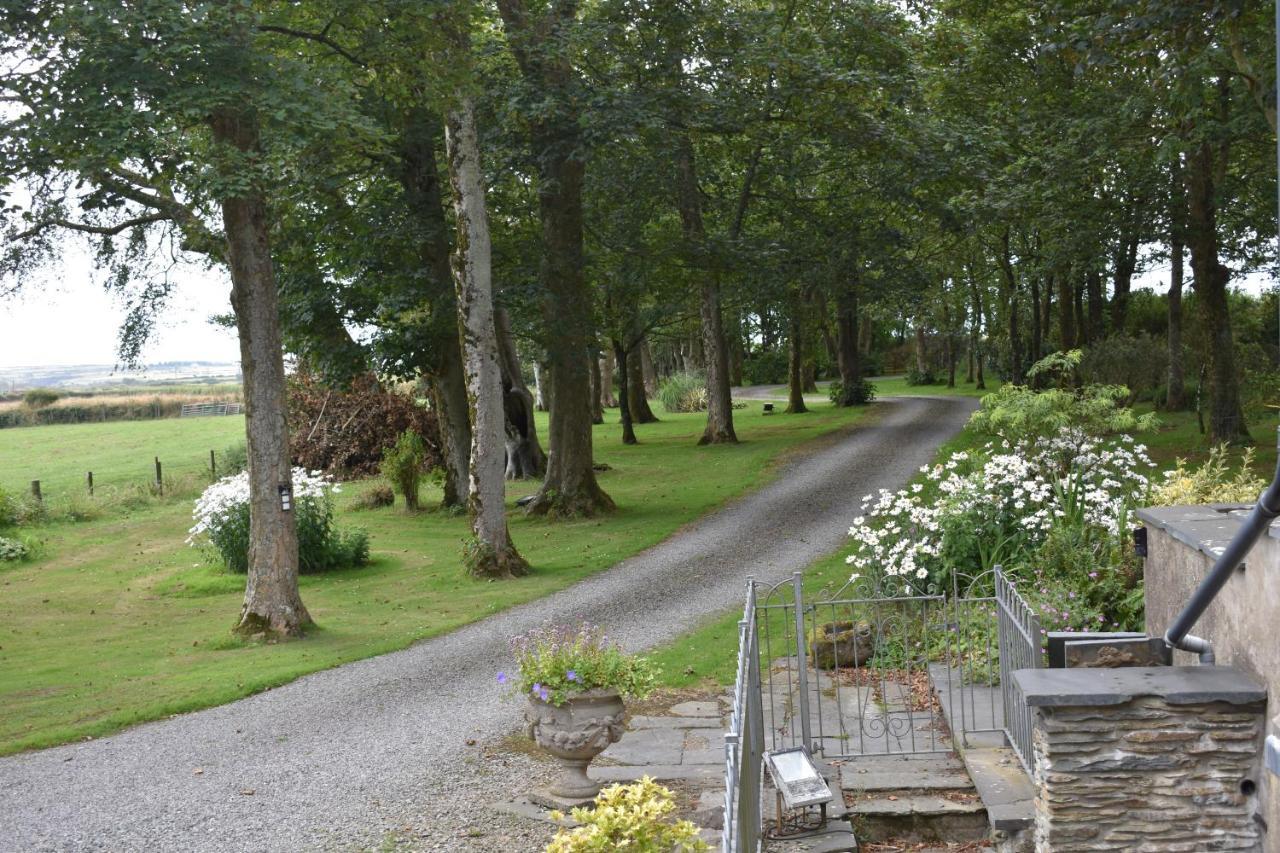 Crug Glas Country House St. Davids  Luaran gambar